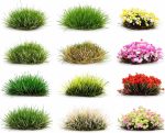 110 pcs Static Grass Tufts Model Grass for Train Railway Diorama Scenery Artificial Grass Terrain Kit Miniature Bushes Wargaming - Image 2