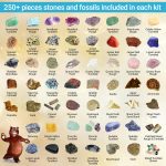 DANCING BEAR Rock, Mineral & Geodes Treasure Hunt Activity Kit (250 Pc Set) Real Shark Teeth Fossils, ID Sheet & Rock Book, STEM - Image 3