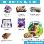 DANCING BEAR Rock, Mineral & Geodes Treasure Hunt Activity Kit (250 Pc Set) Real Shark Teeth Fossils, ID Sheet & Rock Book, STEM - Image 5
