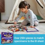 DANCING BEAR Rock, Mineral & Geodes Treasure Hunt Activity Kit (250 Pc Set) Real Shark Teeth Fossils, ID Sheet & Rock Book, STEM - Image 6