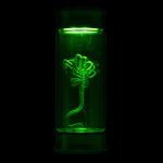 Alien Critter Embryo in Jar Glass Bottle with Display Box 8” Collectible Movie Prop Replica for Halloween Costume - Image 4