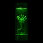 Alien Critter Embryo in Jar Glass Bottle with Display Box 8” Collectible Movie Prop Replica for Halloween Costume - Image 5