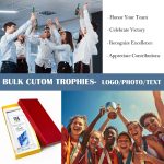 Custom Crystal Trophy Award, Personalized Awards and Trophies with Text Logo Photo, Employee Appreciation Gifts, Retirement Farewell, Thank You Gifts - Image 6