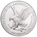 2026 One Dollar Freedom American Silver Eagle Showpak - Image 4