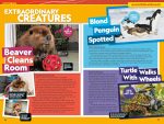 National Geographic Kids Almanac 2027 (NGK Almanac) - Image 4