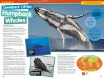 National Geographic Kids Almanac 2027 (NGK Almanac) - Image 5