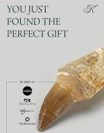 KALIFANO Authentic Fossilized Prehistoric Mosasaur Tooth from Morocco - Mosasaurus Teeth for Fossil Collections and Education Purposes (Information Card Included) - Image 6