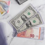 15PCS Banknote Holders Top-Load Currency Money Sleeves for Bills | Uncle Paul Currency for Paper Money 167x70mm Acid-Free PVC, Clear Display for Protector Storage Cases PN03L15 - Image 6