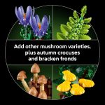 LEGO Botanicals Woodland Mushrooms - Building Set for Adults, Ages 18+ - Mushroom Decor for Home Office or Desk - Gifts for Women & Men - Craft Activity - 11505 - Image 5
