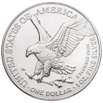 2026 One Dollar Army American Silver Eagle Showpak - Image 4