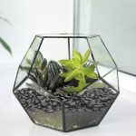 Black Small Pebbles - Decorative Gravel Rock Plant Stones,3/8" Natural Polished Stones Succulent Gravel,Pebbles Gravel for Bamboo Plants,Succulent,Home Decor,Landscaping,Vase Fillers. - Image 4