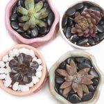 Black Small Pebbles - Decorative Gravel Rock Plant Stones,3/8" Natural Polished Stones Succulent Gravel,Pebbles Gravel for Bamboo Plants,Succulent,Home Decor,Landscaping,Vase Fillers. - Image 5