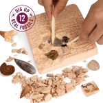 Real Fossil Dig Kit for Kids - Science Kits for Boys & Girls Age 8-12 Years | Birthday Gift Ideas for 8, 9, 10, 11, 12 Year Old Boy or Girl - Fossils Digging STEM Toys for Ages 8-13 - Image 3