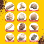 Real Fossil Dig Kit for Kids - Science Kits for Boys & Girls Age 8-12 Years | Birthday Gift Ideas for 8, 9, 10, 11, 12 Year Old Boy or Girl - Fossils Digging STEM Toys for Ages 8-13 - Image 4