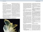 The Minerals Encyclopedia: 700 Minerals, Gems and Rocks - Image 3