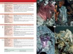 The Minerals Encyclopedia: 700 Minerals, Gems and Rocks - Image 6