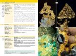 The Minerals Encyclopedia: 700 Minerals, Gems and Rocks - Image 8