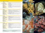The Minerals Encyclopedia: 700 Minerals, Gems and Rocks - Image 9