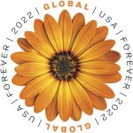 2022 Global Forever International Mail African Daisy Postage Stamps (1 Sheet, 10 Stamps) - Image 3