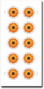 2022 Global Forever International Mail African Daisy Postage Stamps (1 Sheet, 10 Stamps) - Image 5