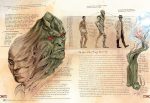 DC Comics: Anatomy of a Metahuman - Image 7