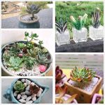 Natural Polished Decorative White Pebbles - Small Stones 3/8" Gravel Size,River Rocks Pebbles for Plants, Home DIY Decor,Aquarium Gravel,Vase Fillers,Fairy Garden,Landscaping Outdoor Stones. - Image 3