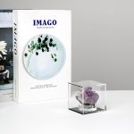 3x3x3Inch Clear Acrylic Boxes for Collectibles Display | Removable Countertop Storage Box Cube Organizer Stand Riser, Dustproof Protection Showcase for Crystals Minerals Slab Fossil - Image 3