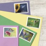 United States Postal Service Garden Delights (Booklet of 20) First-Class Mail Forever Postage Stamps Scott #5845-5848 - Image 3
