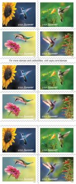United States Postal Service Garden Delights (Booklet of 20) First-Class Mail Forever Postage Stamps Scott #5845-5848 - Image 4