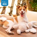Best Pet Supplies Bunny Buddy Squeaky Plush Dog Toy - Beige, Medium | Soft Plush, Squeaks & Crinkles, Perfect for Moderate Chewers, Toss & Fetch Play, Stress & Anxiety Reliever, Ideal Gift Toy - Image 7