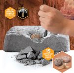 Discovery Colossal Fossil Dig Set, 15-Piece Archeology Excavation Kit, Uncover Real Shark Teeth and More, STEM Toys for Boys and Girls - Image 4