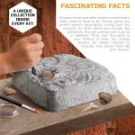 Discovery Colossal Fossil Dig Set, 15-Piece Archeology Excavation Kit, Uncover Real Shark Teeth and More, STEM Toys for Boys and Girls - Image 6