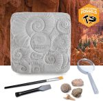 Discovery Colossal Fossil Dig Set, 15-Piece Archeology Excavation Kit, Uncover Real Shark Teeth and More, STEM Toys for Boys and Girls - Image 7