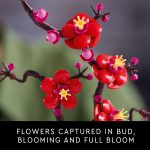 LEGO Botanicals Plum Blossom Building Sets for Adults - Artificial Flower for Dinner Table Centerpiece, Living Room Home Decor, Ages 18+ - DIY Craft Kits - Gift for Birthdays - 10369 - Image 5