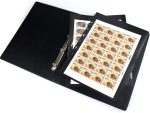 MUDOR 20 Sheets Stamp Pages for Collection Album Binder Book, 1 Pocket | Holds 40 Stamps, Stamp Sleeves for Collectors ,Stamp Collecting Supplies,Professional Pack - Image 6