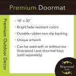 Briarwood Lane Fall Doormat 30x18 Indoor Outdoor Autumn Scarecrow Harvest for Fall Doormat - Image 6