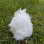Easter Bunny Plush Figurines - 2 Piece Realistic Rabbit Stuffy for Easter Decor, Spring Basket Fillers, Home Decoration, Photoshoot Props, (White) - Image 9