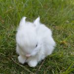 Easter Bunny Plush Figurines - 2 Piece Realistic Rabbit Stuffy for Easter Decor, Spring Basket Fillers, Home Decoration, Photoshoot Props, (White) - Image 10