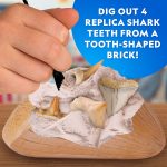 National Geographic Shark Tooth Fossil Dig Kit and Necklace for Kids | Replica Shark Teeth & Fossils, Make a Shark Tooth Necklace, Excavation Tools, Paleontology Activity, STEM Learning - Image 3