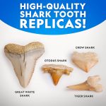 National Geographic Shark Tooth Fossil Dig Kit and Necklace for Kids | Replica Shark Teeth & Fossils, Make a Shark Tooth Necklace, Excavation Tools, Paleontology Activity, STEM Learning - Image 5