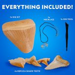 National Geographic Shark Tooth Fossil Dig Kit and Necklace for Kids | Replica Shark Teeth & Fossils, Make a Shark Tooth Necklace, Excavation Tools, Paleontology Activity, STEM Learning - Image 6
