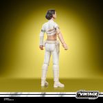 STAR WARS The Vintage Collection Padmé Amidala (Geonosis) | Star Wars: Attack of the Clones Premium 3.75 Inch Collectible Action Figure - Image 8