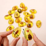 18 pcs Insect Amber Fossils, BOSOIRSOU Fossil Pendants, Different Insect Specimen, Bug Preserved in Resin, Educational and Scientific Amber Collections - Random Patterns - Image 3