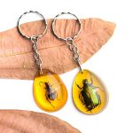 18 pcs Insect Amber Fossils, BOSOIRSOU Fossil Pendants, Different Insect Specimen, Bug Preserved in Resin, Educational and Scientific Amber Collections - Random Patterns - Image 5