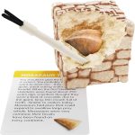 Dan&Darci Dig a Dozen Fossil Bricks - Break Open 12 Blocks and Discover 12 Unique Real Fossils - Basket Stuffers Archaeology Science STEM - Birthday Gift - Image 3