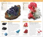 Nature Guide: Rocks and Minerals: The World in Your Hands (DK Nature Guides) - Image 7