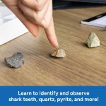 Educational Insights Complete Rock, Mineral, & Fossil Collection - Image 5