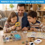 PIBEX Gemstone Collection - 16 PCS Polished Gems & Crystals (1-Inch / 2-3 cm), STEM Geology Kit with Guidebook, 54 ID Cards & Transparent Display Case, Rock Science Gift for Kids Ages 6+ - Image 6
