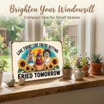 Live Today Like You're Getting Fried Tomorrow Funny Chicken Metal Tin Sign, 8x12 Inch Retro Farmhouse Decor, Humorous Wall Art for Chicken coop farm, Home, Bar, Garage, Cafe - Image 4