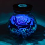 Preserved Real Roses with Colorful Mood Light Wishing Bottle, Eternal Rose，Never Withered Flowers, Table Decor,Christmas Anniversary Valentine's, Blue 4.3inch, 1pcs - Image 7